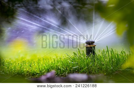 Automatic Sprinkler System Watering The Lawn On A Background Of Green Grass, Close-up