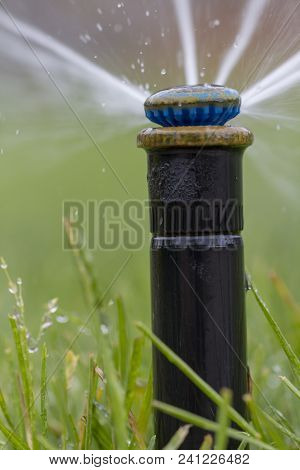 Automatic Sprinkler System Watering The Lawn On A Background Of Green Grass, Close-up