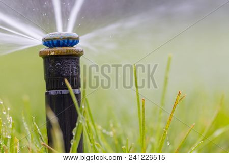 Automatic Sprinkler System Watering The Lawn On A Background Of Green Grass, Close-up