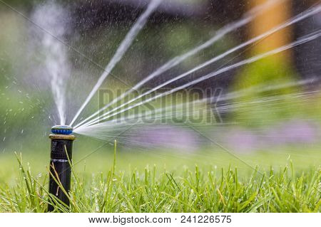 Automatic Sprinkler System Watering The Lawn On A Background Of Green Grass, Close-up