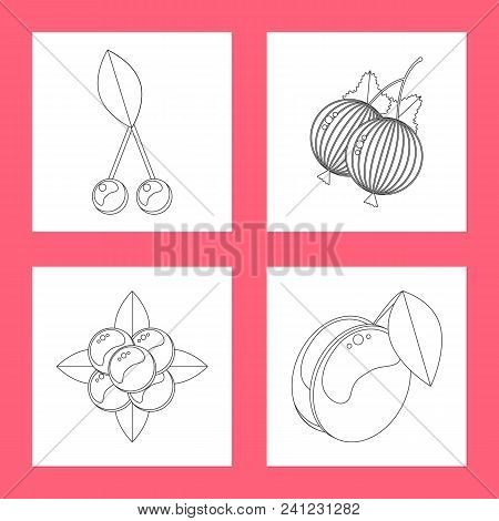 Vector Illustration. A Set Of Colorings For Children Of Preschool Age, Berries, Cherry, Gooseberry, 
