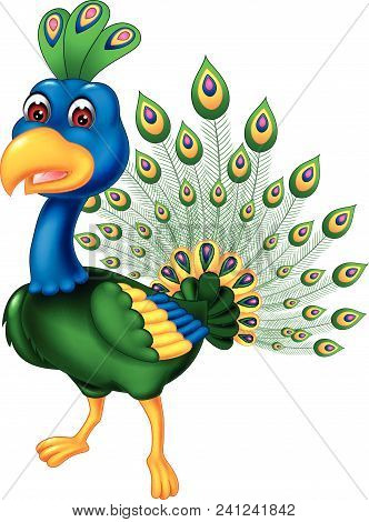 Funny Peacock Cartoon Standing With Smling On White Background