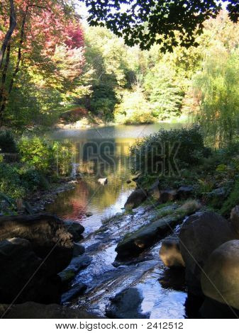 Stream