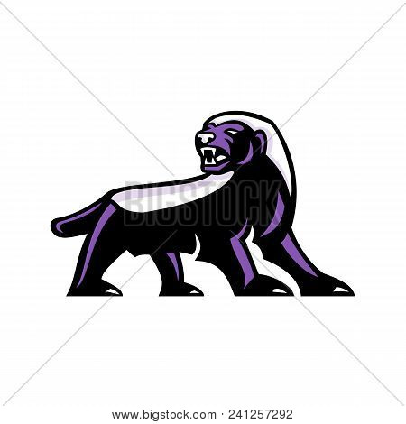 Mascot Icon Illustration Showing Full Body Of Angry And Aggressive Honey Badger (mellivora Capensis)
