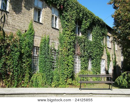 Gamle skole