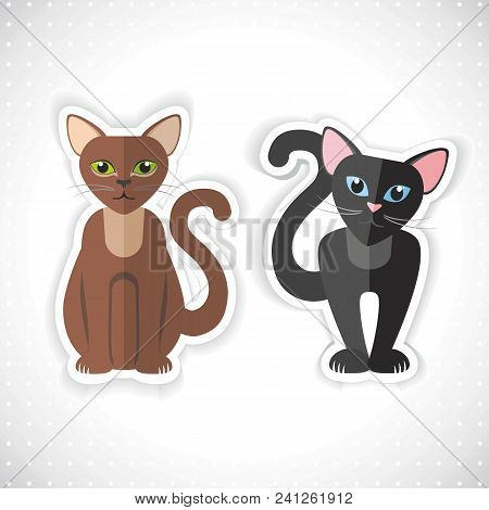 Collection Of Cute Kittens, Vector Modern Illustration