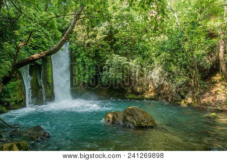 The Banias (banyas) Waterfall In The Hermon Stream (banias) Nature Reserve, Northern Israel