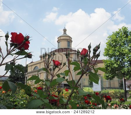 The Church Of Stimmate Di San Francesco D Assisi In Turin, Italy - Focus On Roses On The Foreground