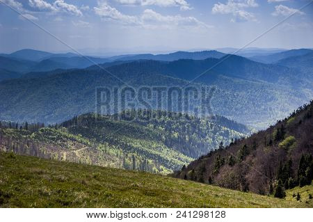 View Of Landscape Of The Carpathian Mountains From Peak Of Parashka Mount, National Park Skolevski B