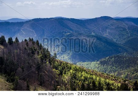 View Of Landscape Of The Carpathian Mountains From Peak Of Parashka Mount, National Park Skolevski B