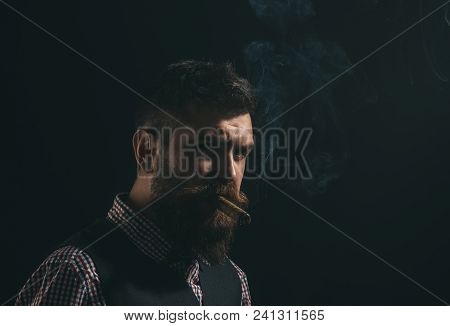 Silhouette Of Bearded Man With Cigar. Gentleman With Beard And Mustache Smoke Cigar. Smoldering Ciga