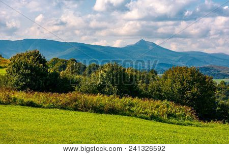 Forest On A Grassy Hill In Afternoon. Pikui Mountain In The Distance Under The Cloudy Afternoon Sky.