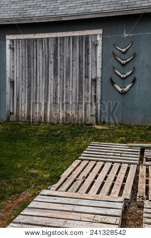 Scenic View Of Fish Tails Decorating A Garage In A Lobstering Village Near Rustico, Prince Edward Is