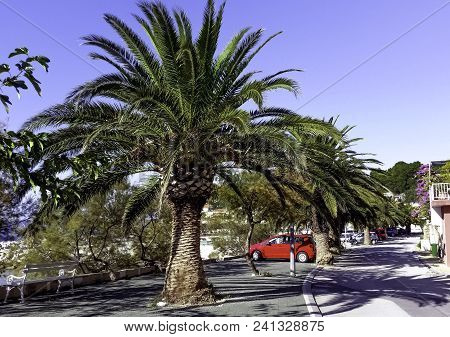 Podgora, Dalmatia, Croatia - October 28: Path On The Croatian Coast With Adriatic Sea In Background 