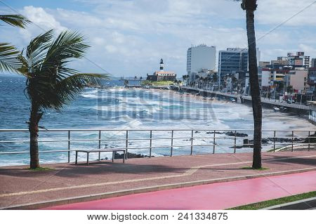 Farol Da Barra In Bahia, Salvador - Brazil - Coconut Palm Trees, Beautiful Tropical Background In A 