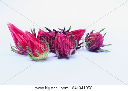 Isolate Of Rosella Or Hibiscus Or Kharkade Or Malvaceae Or Sorrel Seeds