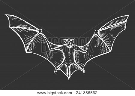 Screaming Flying Bat With Extended Wings, Hand Drawn Vector Illustration