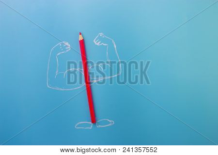 Color Pencil With Musceles
