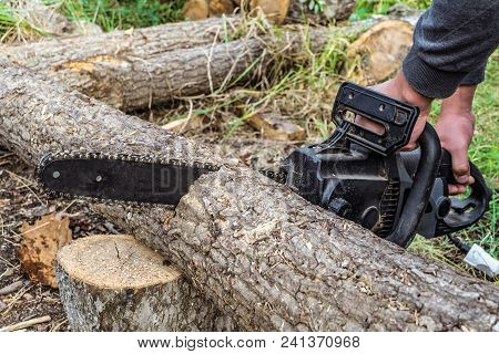 Worker Is Sawing A Wooden Log With An Hand Electric Chain Saw