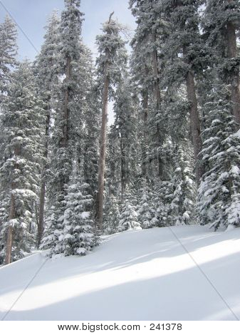 Snow3