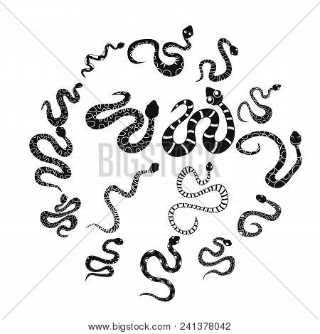 Snake Icons Set. Simple Illustration Of 16 Snake Vector Icons For Web