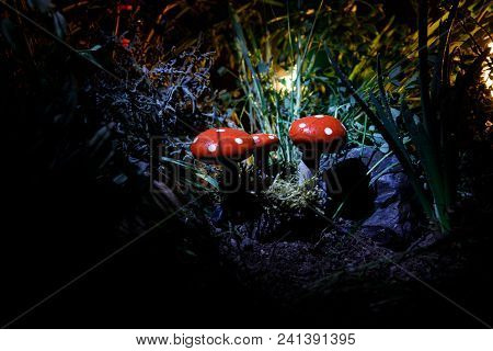 Mushroom. Fantasy Glowing Mushrooms In Mystery Dark Forest Close-up. Amanita Muscaria, Fly Agaric In