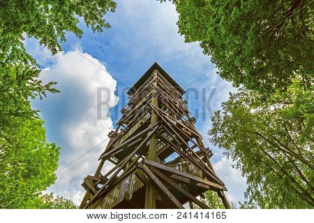 High Wooden Observation Tower Surrounded By Trees. Blue Sky And Fluffy Clouds On Background