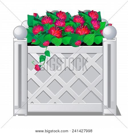 Decorative Fence With Red Flowers. Vector Illustration. A Beautiful Version Of The Floral Decoration