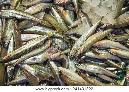 Raw Smelt Fish In The Store Like Background