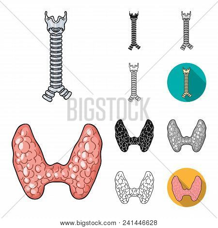 Human Organs Cartoon, Black, Flat, Monochrome, Outline Icons In Set Collection For Design. Anatomy A