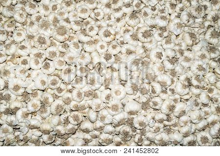 Many Organic Garlic Sales On The Market. White Garlic Pile Texture. Fresh Garlic On Market Table Clo