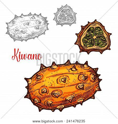 Kiwano Fruit Sketch Color Icon. Vector Botanical Sketch Design Of Whole Or Exotic Horned Melon Or He
