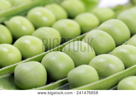 Green Peas Pods Macro Close Up Background. Horizontal Photo Of Many Peeled Pods With  Peas Inside Ly