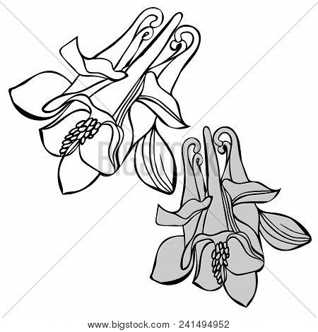Beautiful Botanical Vector With Flowers Watershed. Black Silhouettes On White Background.