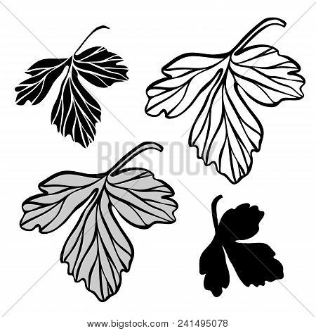 Beautiful Botanical Vector With Flowers Watershed. Black Silhouettes On White Background.