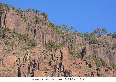 Spanish View Landscape In Gran Canaria Tropical Volcanic Canary Islands Spain