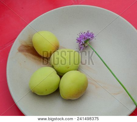 Fresh Apricot Fruits On White Ceramic Dish