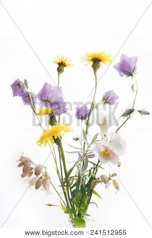 Festive Bouquet Of Yellow And Purple Wildflowers, Herbs On A White Background.