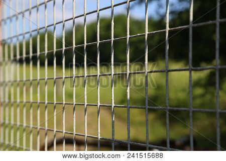Metal Mesh Fencing / Metal Mesh For Garden