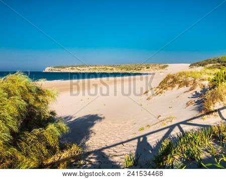 Dunes With Beachgrass And Wide Beach In Tarifa, Costa De La Luz, Cadiz, Spain, Europe
