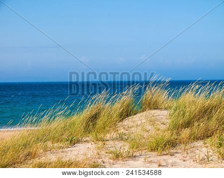Dune With Beachgrass In Tarifa, Costa De La Luz, Spain, Europe