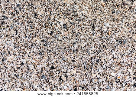 Close Up Beautiful Background And Texture Of Pieces Of Shells And Stones On Sand Beach