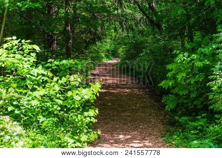 The Path To Fitness And Personal Acheivement Goals