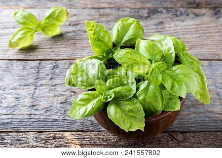 Fresh Basil In A Bowl Of Wood On A Rustic Table