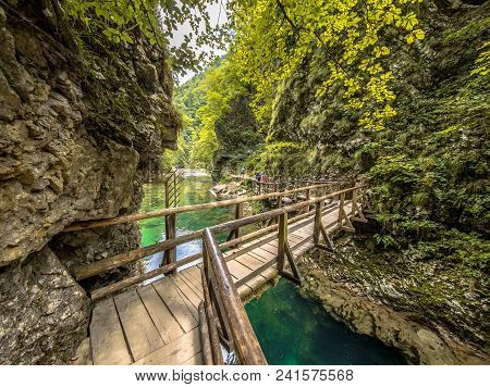 Soteska Vintgar Gorge With Bridge In Boardwalk Along River On Sunny Day