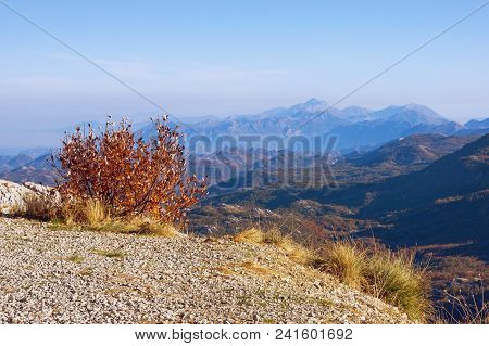 Beautiful View From  Steep Mountain Slope. Montenegro, Lovcen National Park
