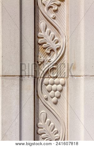 Part Of The Wall Pattern, Grape Branch