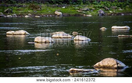 Opir River In The Carpathian National Park Skolevski Beskidy, Lviv Region Of Western Ukraine