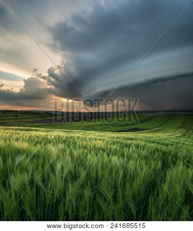 Field And Storm. Beautiful Naural Landscape In The Summer Time