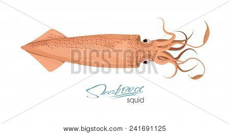 Squid Of Red Color Design Flat. Red Squid With Tentacles Isolated On White Background. Creature Floa